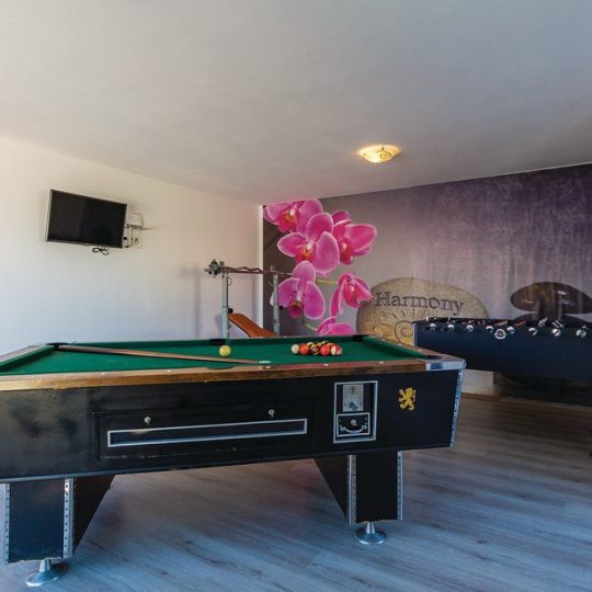 Okolica Ližnjana prekrasna Moderna vila 420m2