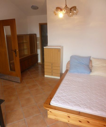 HOUSE – FAZANA – 6APP + LARGE GARDEN