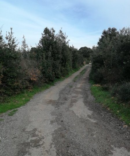 Ližnjan, 2190 m2, vor der Urbanisierung