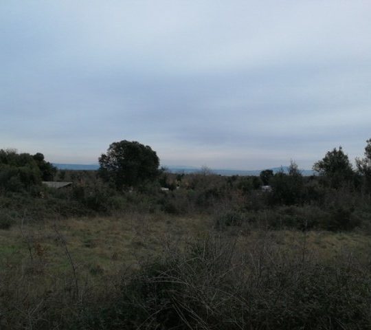 Ližnjan, 2190 m2, vor der Urbanisierung