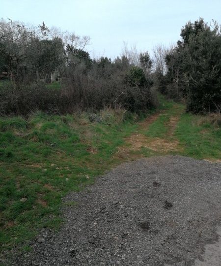 Ližnjan, 2190 m2, vor der Urbanisierung