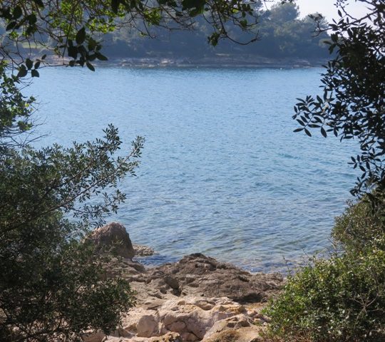 House NEAR PJEŠČANA UVALA, ground floor, 55.00 m2 FIRST ROW TO THE SEA