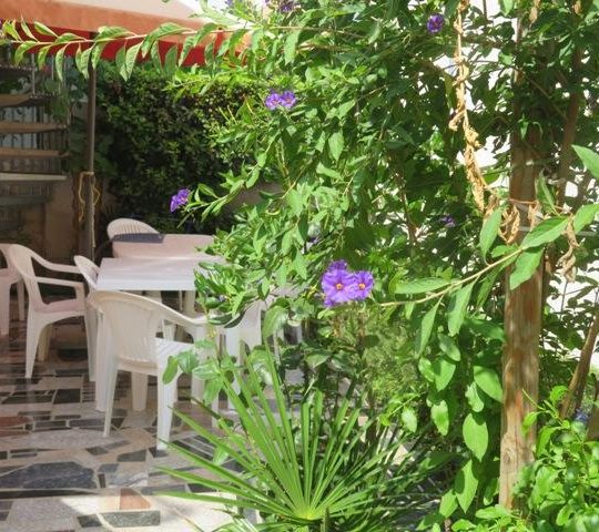 Kuća MEDULIN, BLIZINA HOTELA HOLIDAY IN,TERASE, MALA OKUĆNICA