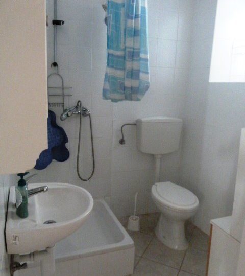 Ližnjan, a house with three apartments and a studio apartment