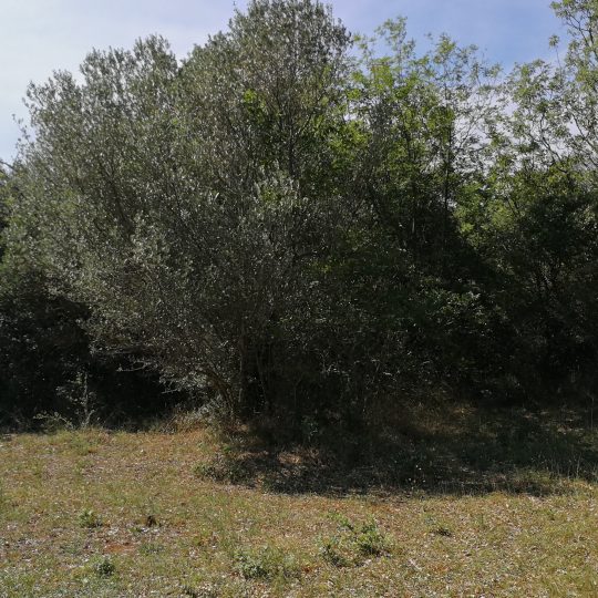 Ackerland, Peroj, 2100 m2