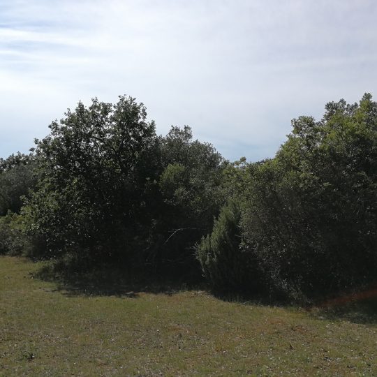 Ackerland, Peroj, 2100 m2