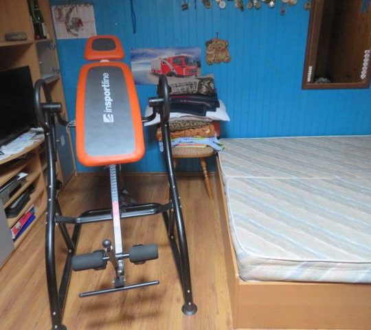 PULA, KUĆA KOD RADIĆEVE ULICE