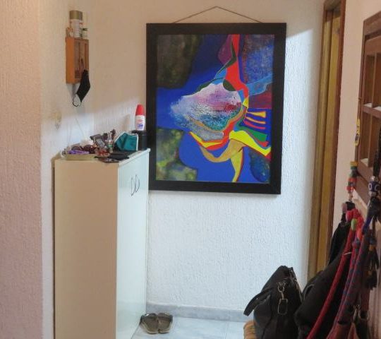 PULA, KUĆA KOD RADIĆEVE ULICE