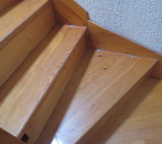 PULA, KUĆA KOD RADIĆEVE ULICE