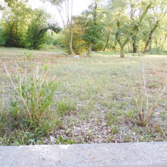 MARČANA NEAR RAKALJ, VILLAGE VILLA WITH 9000m2 OF FOREST