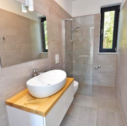 MARČANA NEAR RAKALJ, VILLAGE VILLA WITH 9000m2 OF FOREST