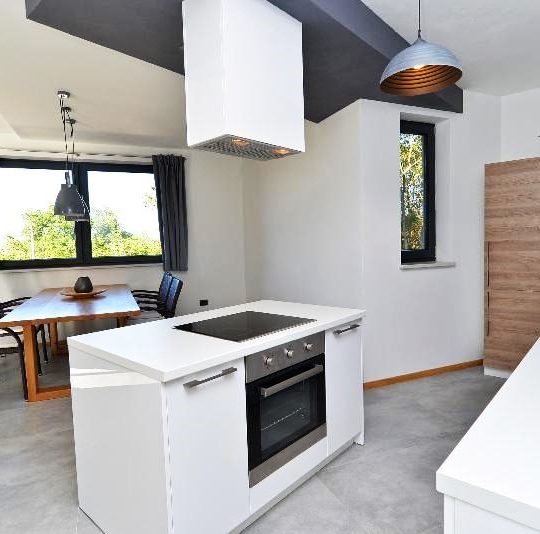 MARČANA NEAR RAKALJ, VILLAGE VILLA WITH 9000m2 OF FOREST