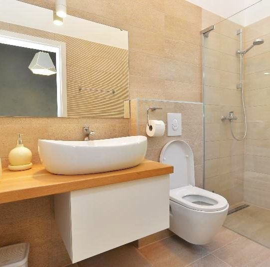 MARČANA NEAR RAKALJ, VILLAGE VILLA WITH 9000m2 OF FOREST