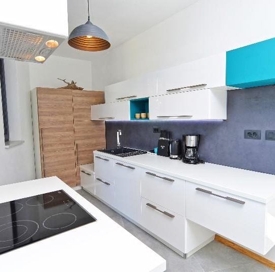 MARČANA NEAR RAKALJ, VILLAGE VILLA WITH 9000m2 OF FOREST