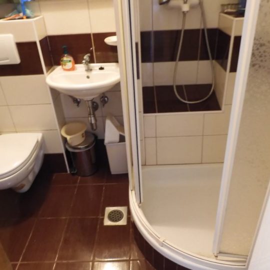 Дом ПРЕМАНТУРА, ЦЕНТР, ДОМ С 4 КВАРТИРАМИ С ДВОРОМ И ГАРАЖОМ