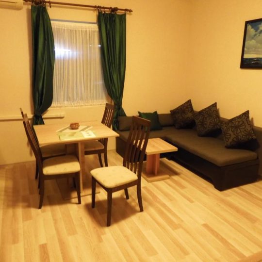 Дом ПРЕМАНТУРА, ЦЕНТР, ДОМ С 4 КВАРТИРАМИ С ДВОРОМ И ГАРАЖОМ