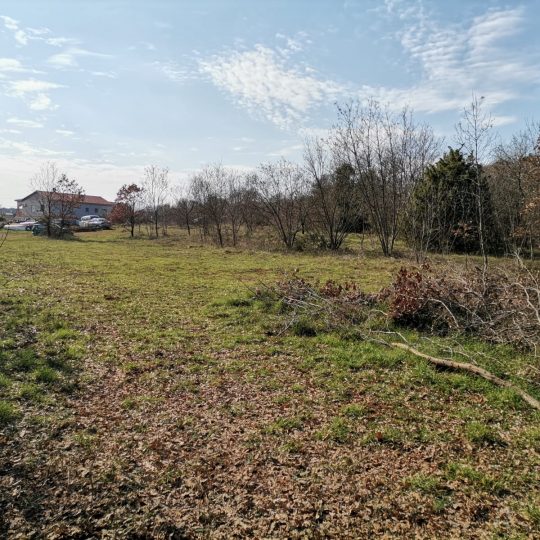 Окрестности Крницы, участок 5090 м2