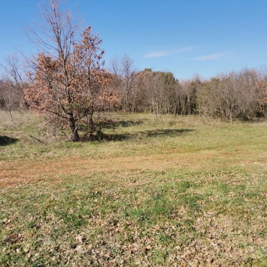 Окрестности Крницы, участок 5090 м2