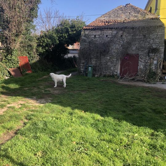 Šišan, kuća sa dva stana