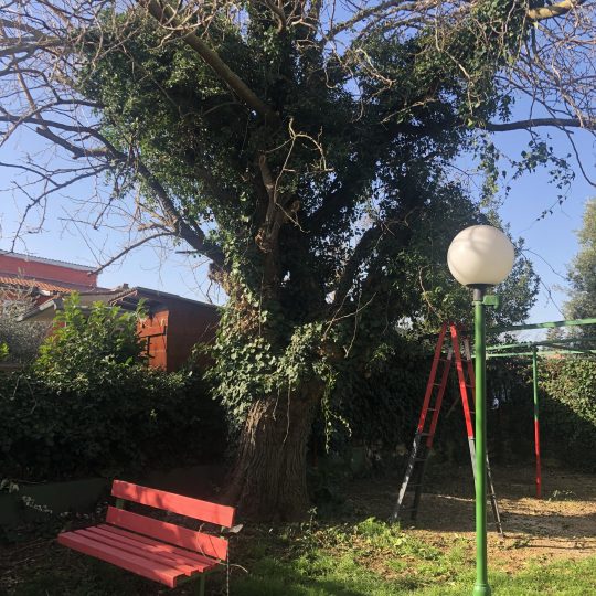 Šišan, kuća sa dva stana