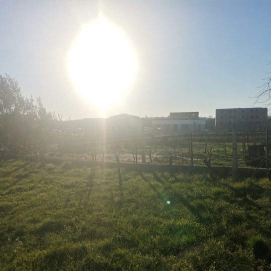 Пула, участок с узаконенной застройкой