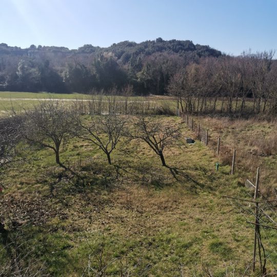 Винтижан, дом с двумя квартирами