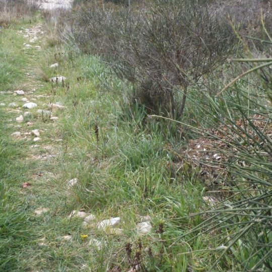 ЗЕМЕЛЬНЫЙ УЧАСТОК ПРЕМАНТУРА У ДЕРЕВНИ ВАРОС