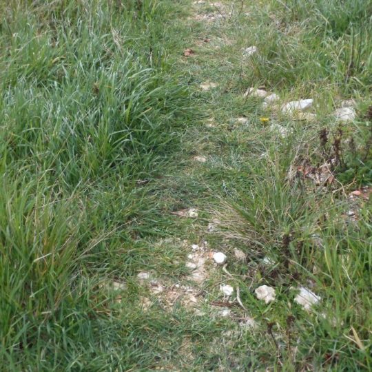 ЗЕМЕЛЬНЫЙ УЧАСТОК ПРЕМАНТУРА У ДЕРЕВНИ ВАРОС