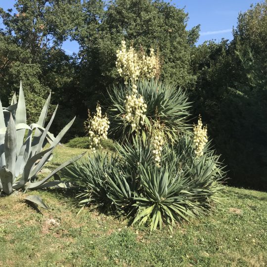 Дом С БАССЕЙНОМ, ОПАТИЯ, ПОБРИ, ВИД НА МОРЕ С КАЖДОГО ЭТАЖА