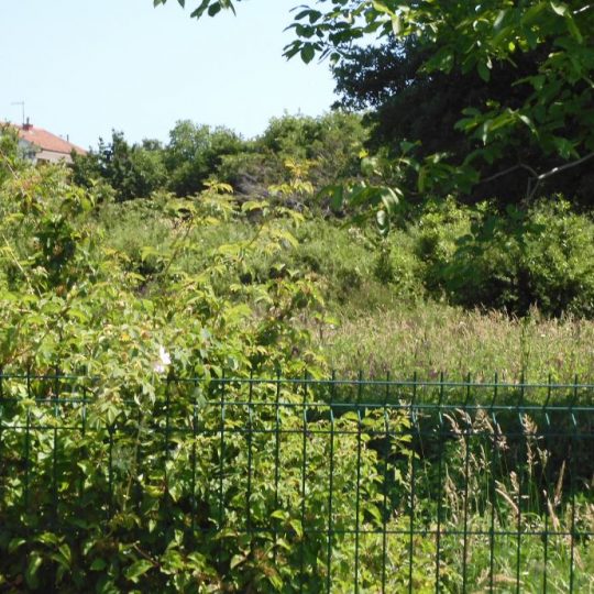 ПРЕМАНТУРА УРБАНИЗИРОВАННАЯ ЗЕМЛЯ КРШЕ МУНТЕ