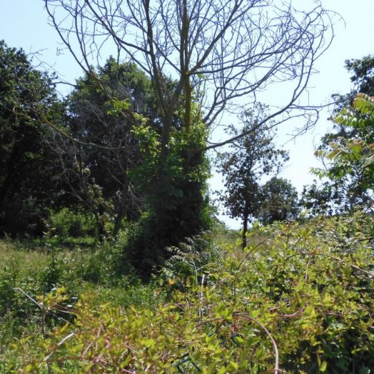 ПРЕМАНТУРА УРБАНИЗИРОВАННАЯ ЗЕМЛЯ КРШЕ МУНТЕ