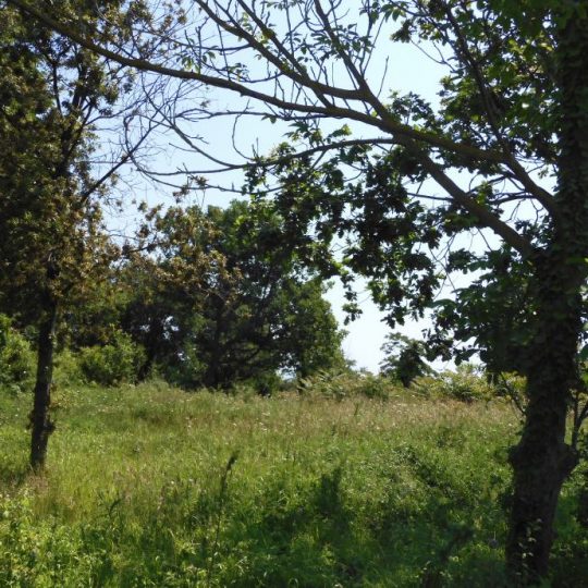 ПРЕМАНТУРА УРБАНИЗИРОВАННАЯ ЗЕМЛЯ КРШЕ МУНТЕ