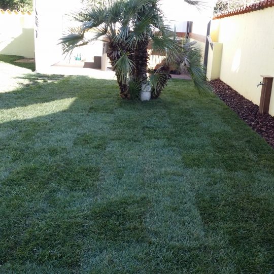 Квартира PJEŠČANA UVALA, ПЕРВЫЙ ЭТАЖ, КОМФОРТНЫЙ, 200M2 САД ЗАРЕГИСТРИРОВАН