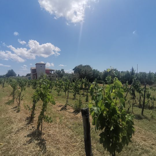 Недвижимость около Водняна на участке 25000 м2