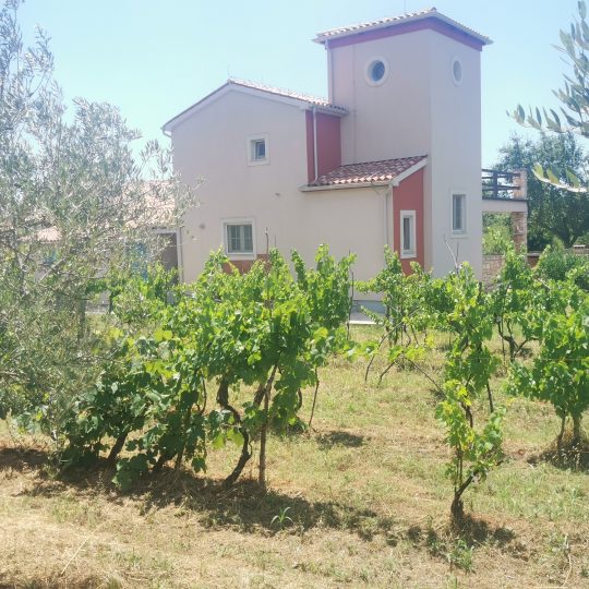 Недвижимость около Водняна на участке 25000 м2