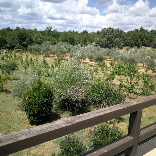 Недвижимость около Водняна на участке 25000 м2