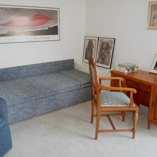 ДОМ ПУЛА, ШИДЖАНА, ТРИ КВАРТИРЫ, ОФИСНЫЕ ПОМЕЩЕНИЯ