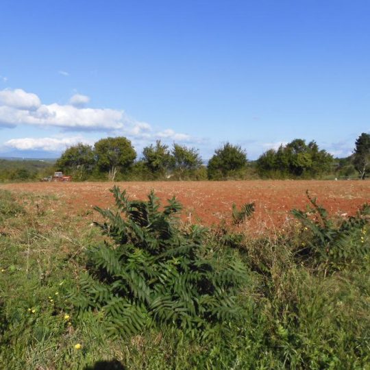 Земля под застройку, Пунтера, 3600 м2, ВЕСЬ ДЕНЬ, СОЛНЦЕ, КРАСИВЫЙ ВИД