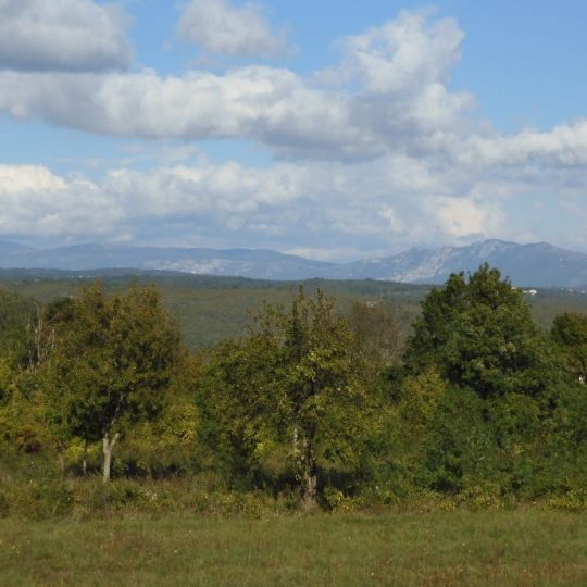 Земля под застройку, Пунтера, 3600 м2, ВЕСЬ ДЕНЬ, СОЛНЦЕ, КРАСИВЫЙ ВИД