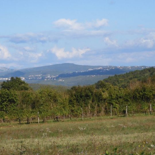 Земля под застройку, Пунтера, 3600 м2, ВЕСЬ ДЕНЬ, СОЛНЦЕ, КРАСИВЫЙ ВИД