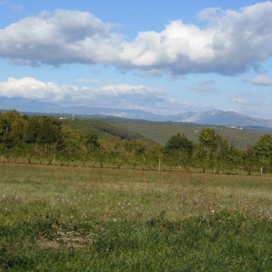 Земля под застройку, Пунтера, 3600 м2, ВЕСЬ ДЕНЬ, СОЛНЦЕ, КРАСИВЫЙ ВИД