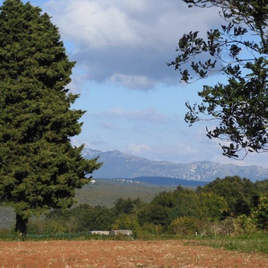 Земля под застройку, Пунтера, 3600 м2, ВЕСЬ ДЕНЬ, СОЛНЦЕ, КРАСИВЫЙ ВИД