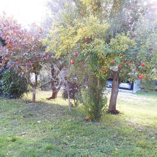 Дом ПРЕМАНТУРА, ДОМ В ЗЕЛЕНИЛ, ВИД НА МОРЕ