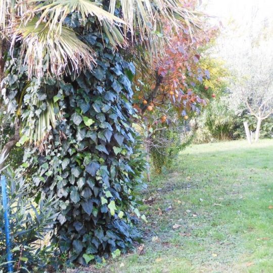 Дом ПРЕМАНТУРА, ДОМ В ЗЕЛЕНИЛ, ВИД НА МОРЕ