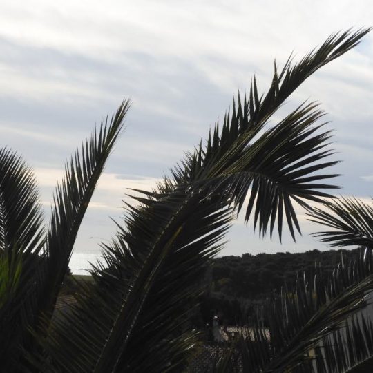 Дом ПРЕМАНТУРА, ДОМ В ЗЕЛЕНИЛ, ВИД НА МОРЕ