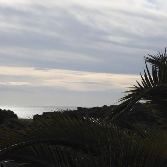 Дом ПРЕМАНТУРА, ДОМ В ЗЕЛЕНИЛ, ВИД НА МОРЕ