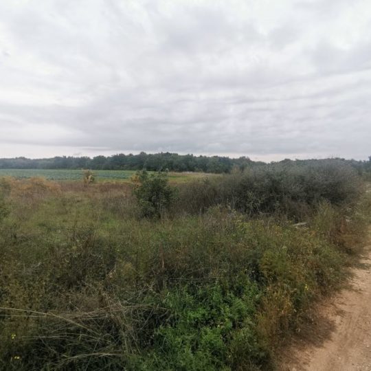 Земля под застройку, Пула Стиньян, 4055 м2