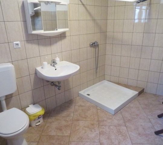 Kuća JEŽENJ, PAZIN, LIJEPA KAMENA KUĆA SA PET CJELINA, BAZEN i DVORIŠTE