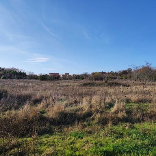 Участок под застройку 5833м2, Ровинь