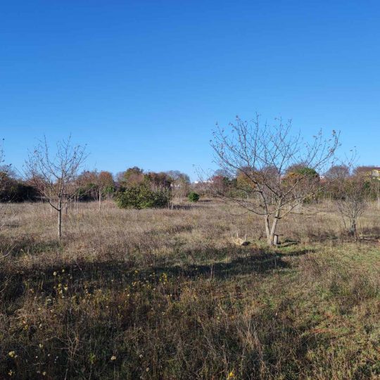 Участок под застройку 5833м2, Ровинь